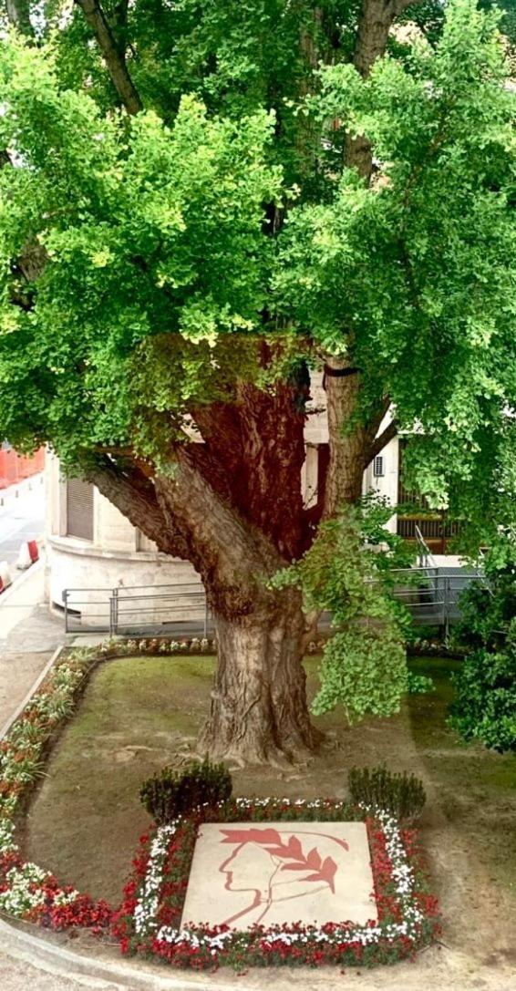 Ravenna Suite Zewnętrze zdjęcie